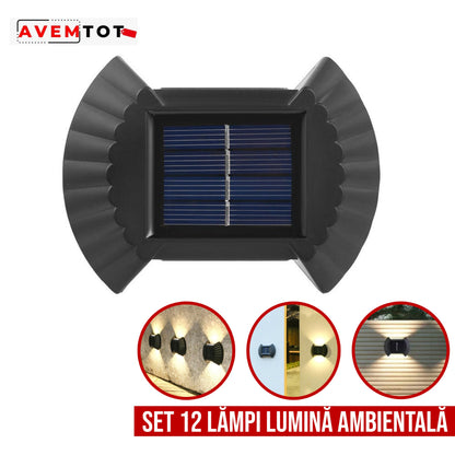 SET 12 LAMPI SOLARE IN FORMA DE SCOICA